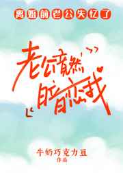 88小说网