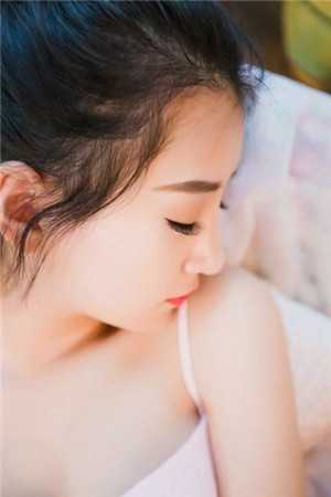 请君小说