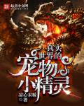 无需播放器的网页视频