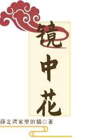 王者荣耀孤王521星