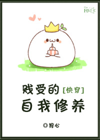 陆婷婷的新故事续集