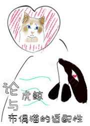 高辣肉文