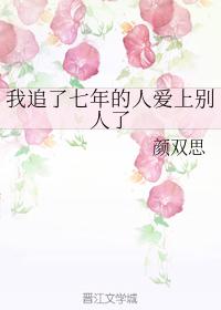 侠岚电影