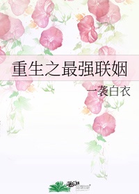 se3333se