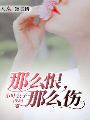 黄碟片