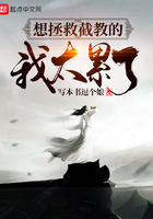 纵欢小说