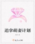 阿宾之房东太大全文阅读