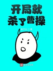 性导航h