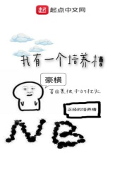 疯狂的蠢贼