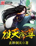 名媛贵妇最新章节列表