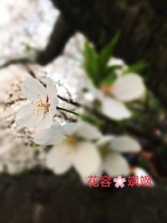 疯狂老师