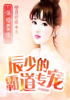 爱玛夫人8