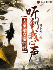 亲爱的律师大人小说