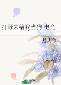 飞刀问情2024版