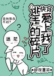 同性男在啪的视频