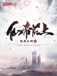 护国将军