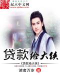 2024下海新人