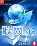 原神雷电将军发起性决斗云盘