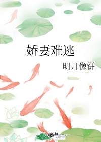 爱情公寓2在线观看免费