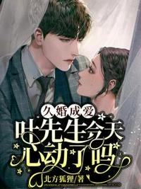 替嫁娇妻电视剧全集