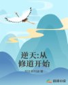 帝王之妾未删减版