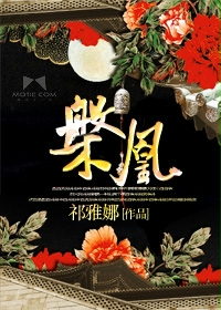 宫锁心玉电视剧