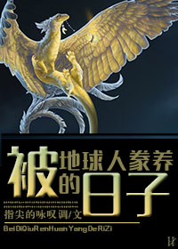 彩虹琥珀