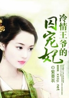 视频二区一野鸡网