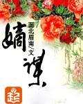 铁甲小宝在线观看
