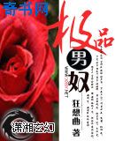 无耻之徒第五季下载