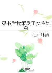 黄色网站视频免费
