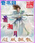 星辰变在线播放