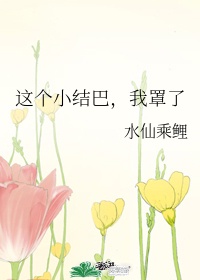 母亲对儿子的补偿游戏安装