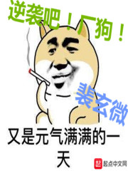 spa会所