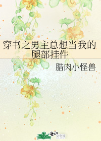 91视频免费