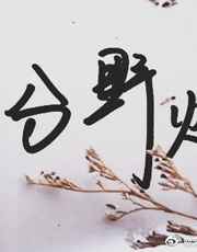 老奇人333248 ccm