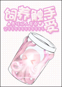典心作品集