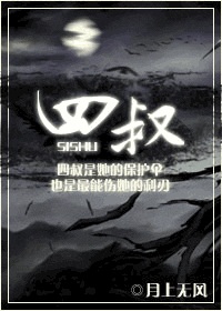 小说风流岁月