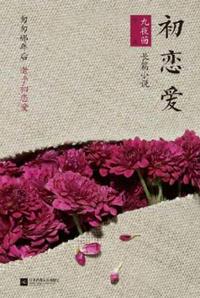 杜仲腰痛丸