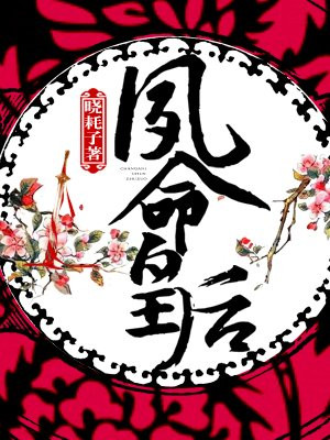 白洁张敏全集txt