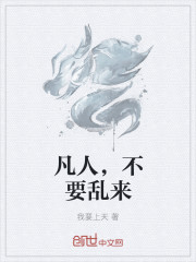 省部级