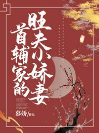 天象境