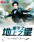 asianwcvoyeur系列