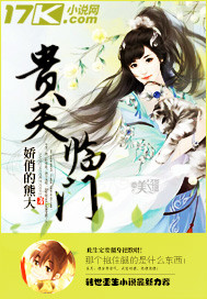 杨家将之风流寡妇h传