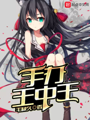 高h交换系列