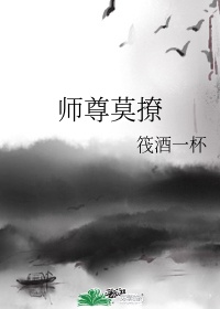 假面骑士时王樱花动漫游戏