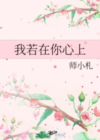 黑莲花不演了