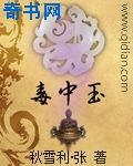 分开女明星丝腿小说