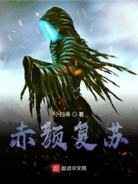 嘉嘉的裤袜三部合集txt下载