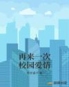 2024年韩版大尺码